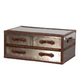 METAL EFFECT TRUNK FOR STORAGE